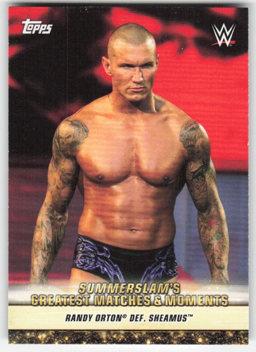 2019 wwe summerslam greatest - 2019,